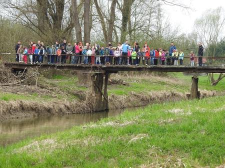 7. april, mednarodni dan bobra in Dan za spremembe 7
